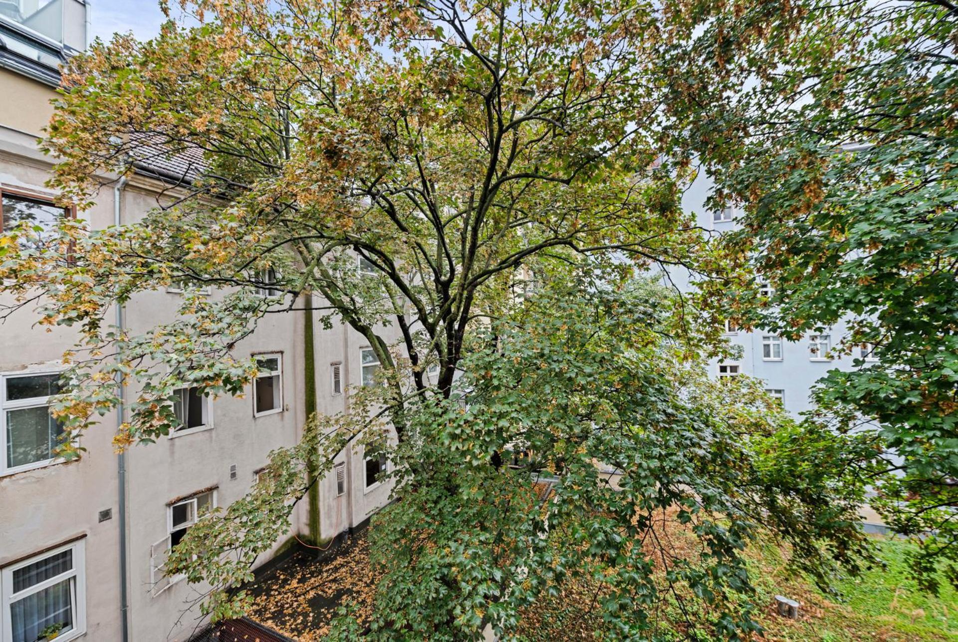Cozy, Generous - 10 Min To City-centre - Contactless 24h Check-in Apartment Wien
